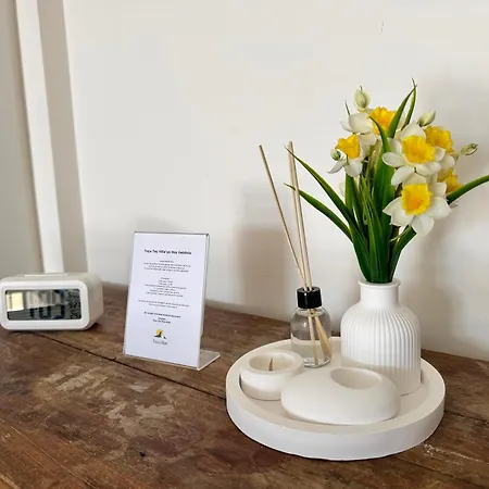 Foca Tas * 伊兹密尔