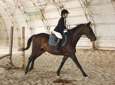 Foca Tas 别墅 伊兹密尔