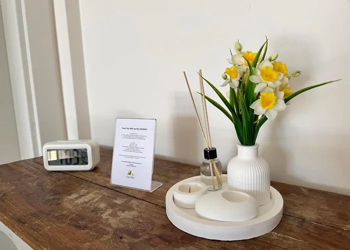 Foca Tas * 伊兹密尔