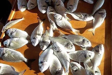 Βίλα Foca Tas Σμύρνη